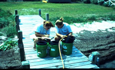 high school students collecting samples