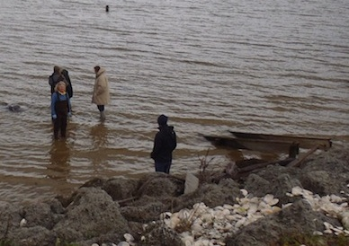 The Stranding Team euthanized the Sunfish and brought it back to CMAST for future study.