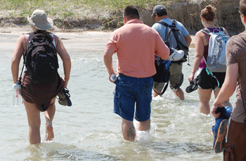 The Science House @ CMAST allows educators to get their feet wett, sometimes litereally, to gain knowledge and experience they bring back to the classroom. (Photo by Keith Rittmeister, NC Maritime Museum, under NOAA/NMFS permits)