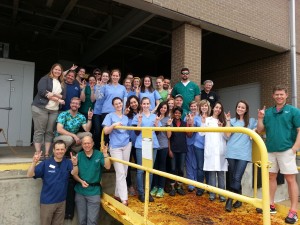 NC State College of Veterinary Medicine’s 2015 Advanced Fish Medicine Selective class. CVM students spent an intensive week at CMAST for hands-on clinical work and lectures. Labs included surgery and anesthesia, diagnostics and parasitology, comparative anatomy, and a lab on water qualty and life support at the NC Aquarium at Pine Knoll Shores.