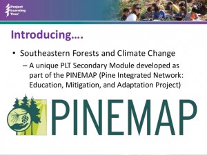 pine-map