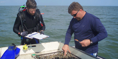 Brandon Puckett and Ray Mroch conducting field research.