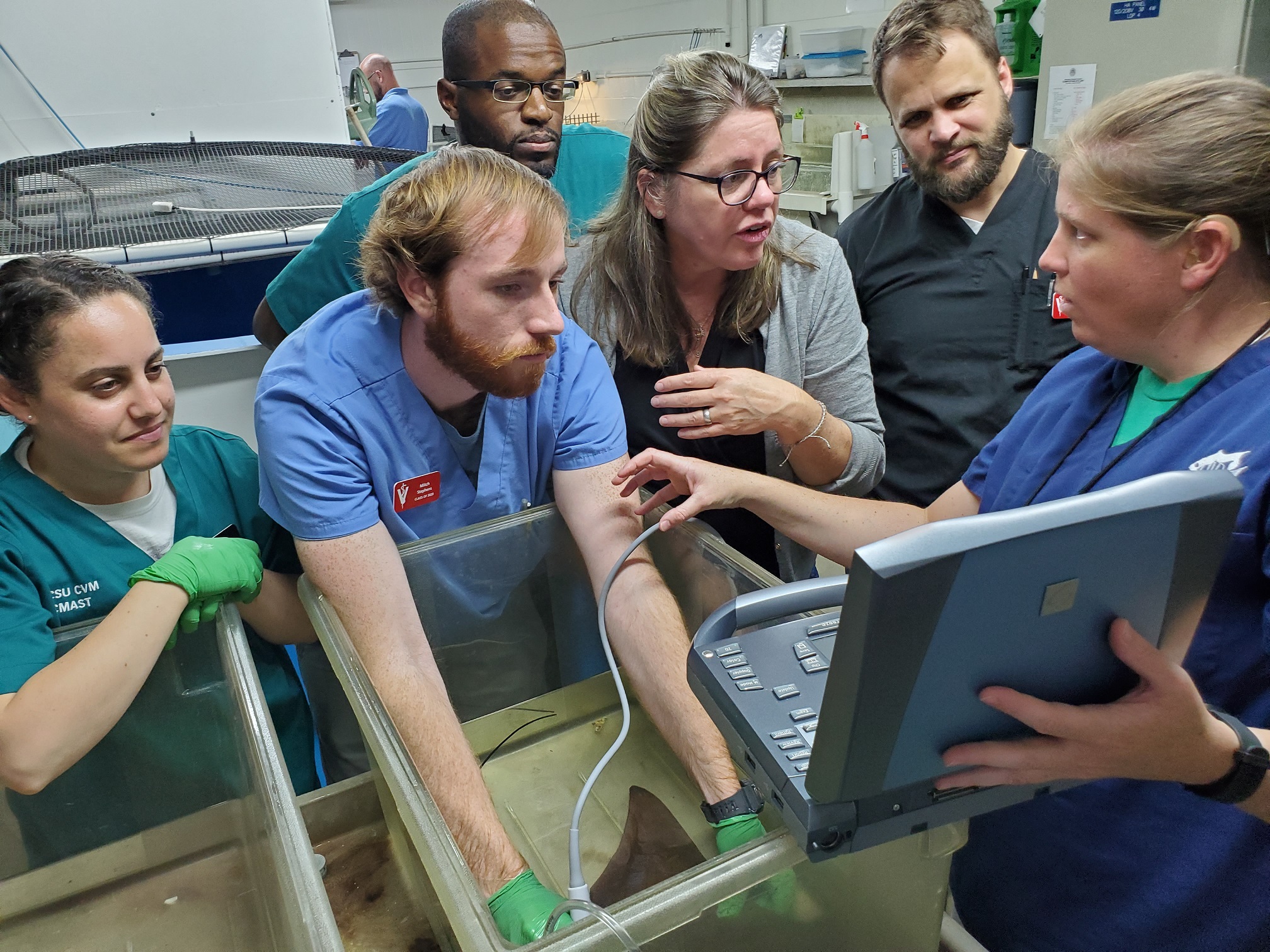 Partnership with NC Aquarium System Center for Marine Sciences and