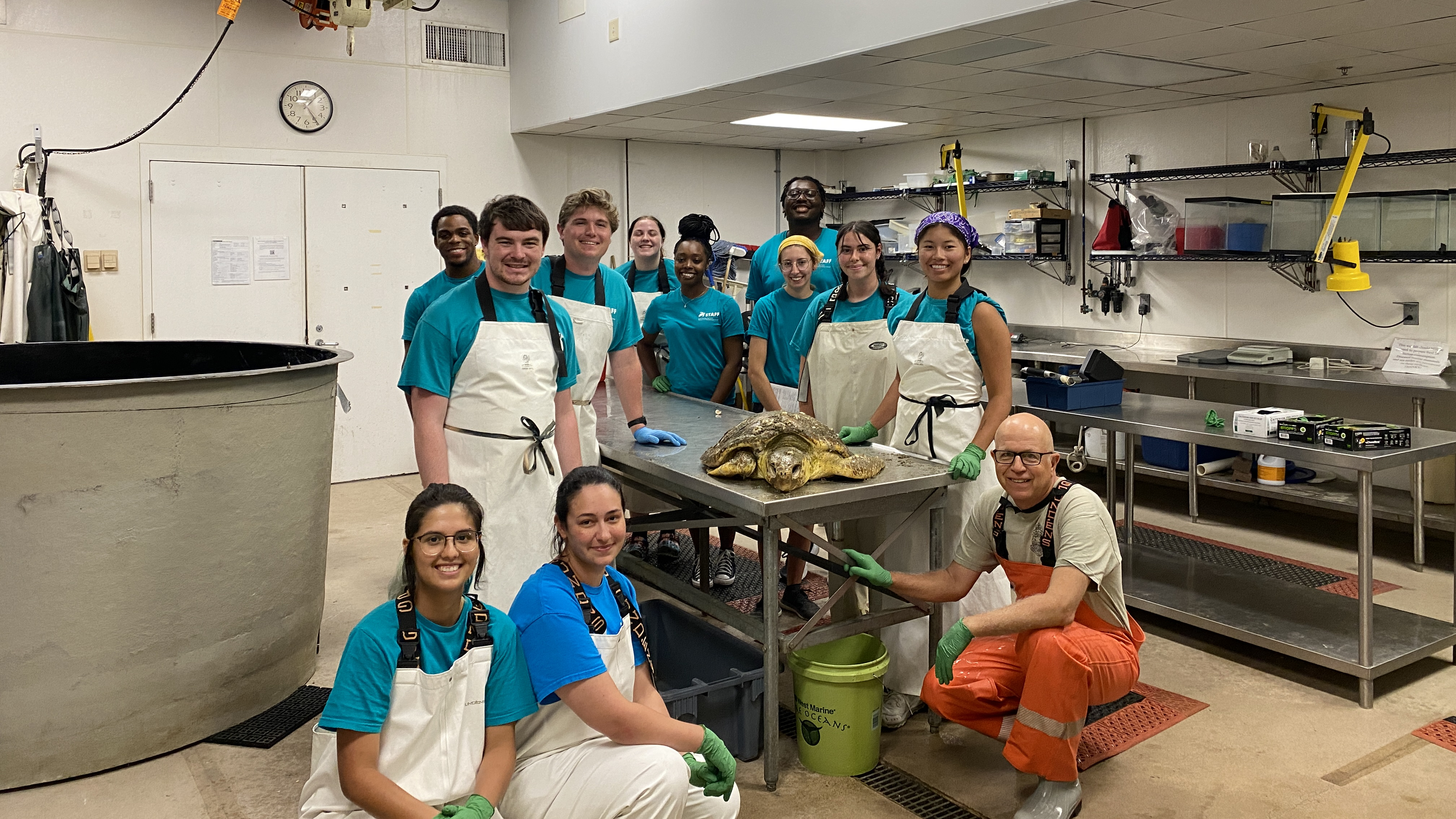 Dr. Harms, bottom right, with KBSTRRC interns and the loggerhead named Sulfur.