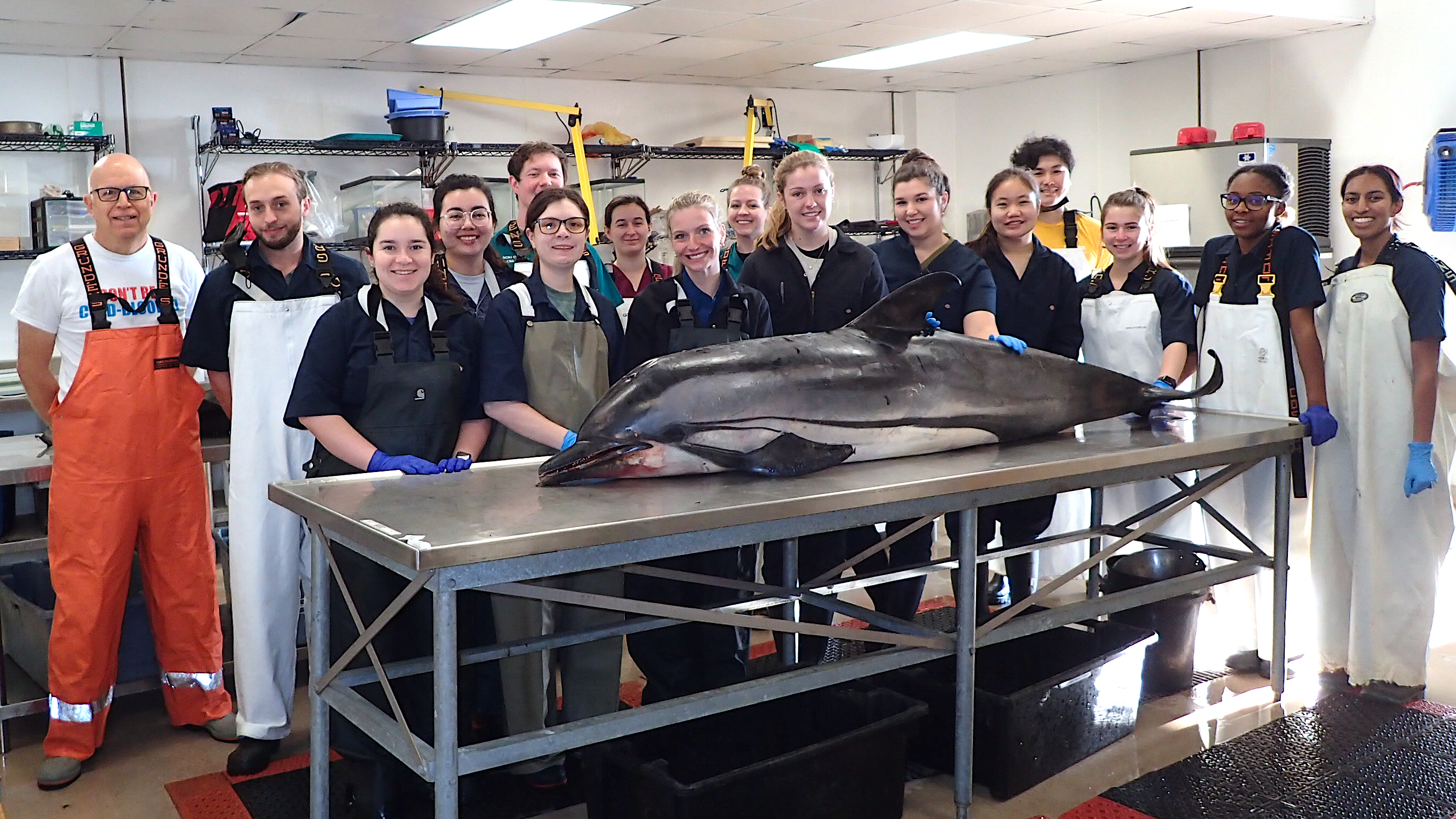 Group photo prior to postmortem examination of striped dolphin (photo by Vicky Thayer).