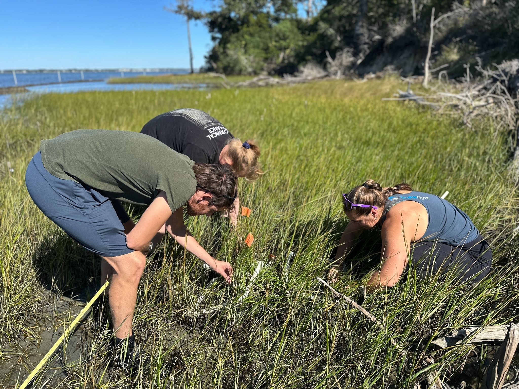 Three people squatted around quadrats in the marsh